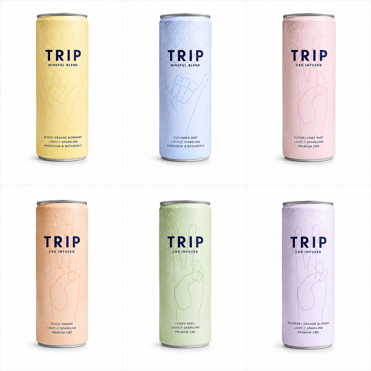 Trip 12X250ml